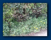 Well hidden eh? (Mark's station)